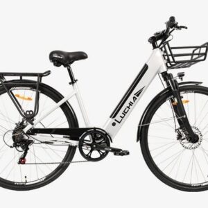 DOTMALL E-Bike Trekking Ebike Cityrad, (1 tlg), mit 6-Gang-Shimano, 250W,LUCHIA