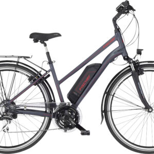 Fischer E-Bike Trekking ETD 1806.1 28 Zoll 24-Gang 557 Wh grau 62261