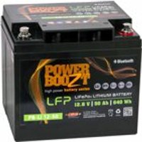 Lithium Batterie PB-Li 12-50 EAN:4260538361585
