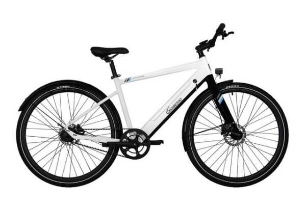 SachsenRAD E-Bike Allround Urban Trekking EBike C3T, Riemenantrieb, bürstenloser Heckmotor, 360 Wh Batterie, LCD-Steuerdisplay, besonders leicht, kaum als E-Bike zu erkennen