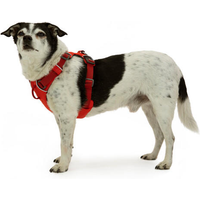 Ruffwear Front Range gepolstertes Hundegeschirr Red Sumac XS  - Hundezubehör EAN:0748960556495