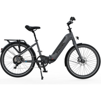 Blaupunkt  E-Bike Fridel - Outdoor Mobilität EAN:4260499853976