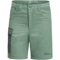 Jack Wolfskin Cargoshorts ACTIVE SHORTS K EAN:4064993682557