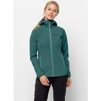 Jack Wolfskin Softshelljacke GO HIKE SOFTSHELL W EAN:4064993845198